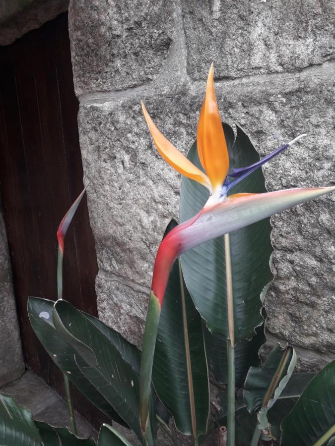 Casa Estarque Guest House Gondomar Bagian luar foto