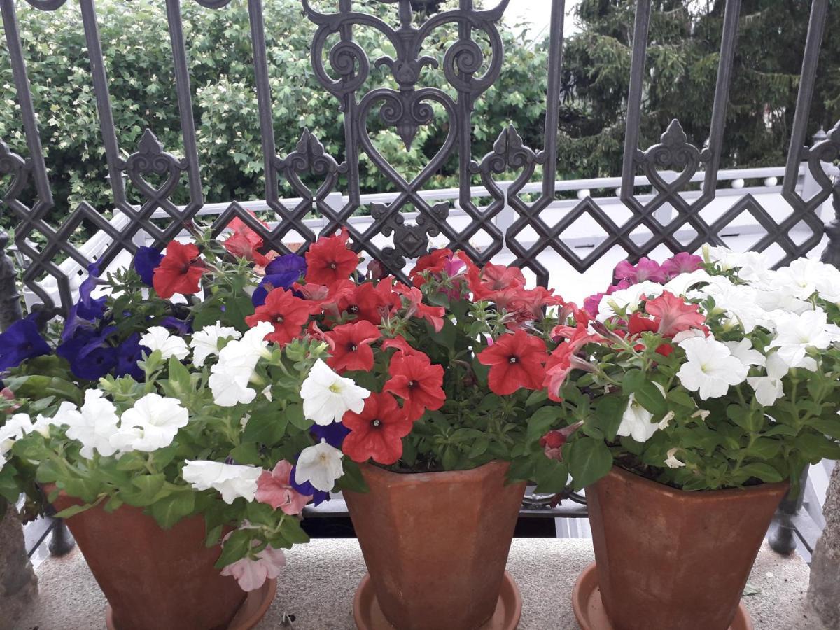 Casa Estarque Guest House Gondomar Bagian luar foto